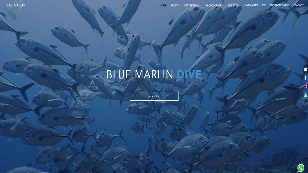 Blue Marlin Dive